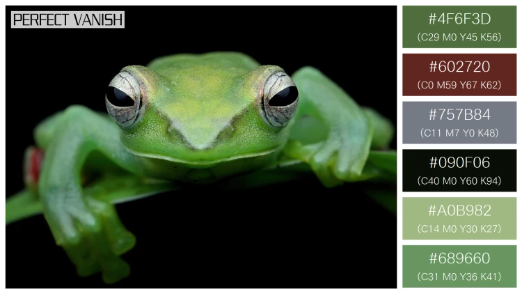 カエルの無料配色パターン 6 フリー jade tree frog