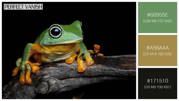 カエルの無料配色パターン 3 フリー javan tree frog