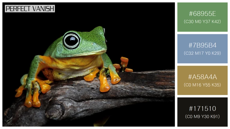 カエルの無料配色パターン 4 フリー javan tree frog