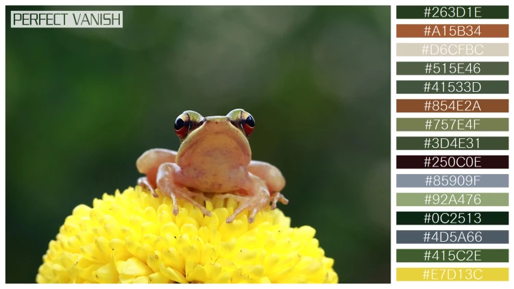 カエルの無料配色パターン 15 フリー tree frogs sit