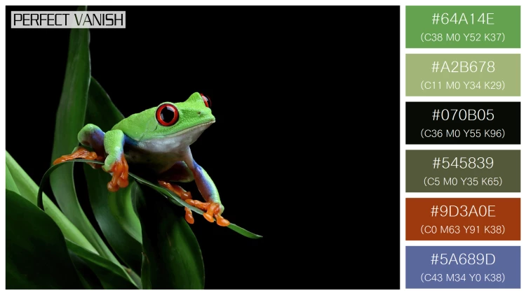 カエルの無料配色パターン 6 フリー redeyed tree frog