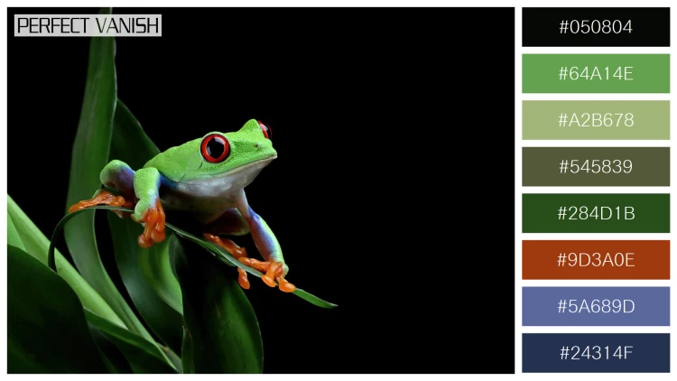カエルの無料配色パターン 8 フリー redeyed tree frog