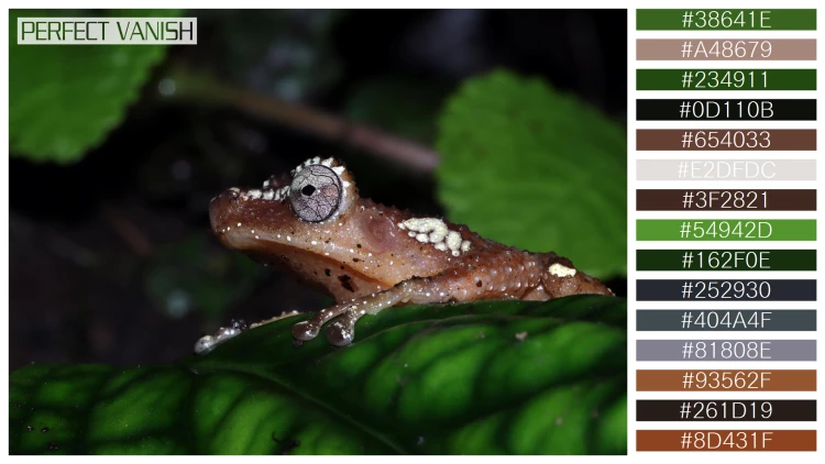 カエルの無料配色パターン 15 フリー pearly tree frog