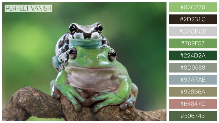 カエルの無料配色パターン 10 フリー amazon milk frog