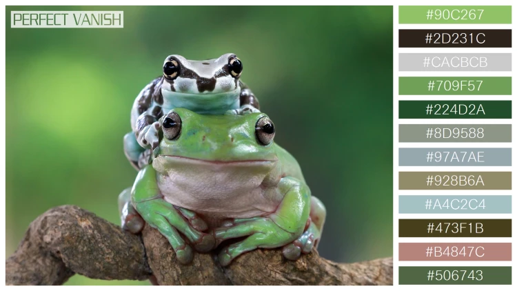 カエルの無料配色パターン 12 フリー amazon milk frog