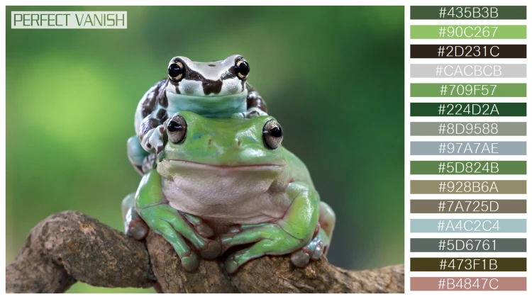 カエルの無料配色パターン 15 フリー amazon milk frog