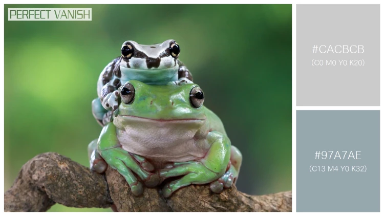 カエルの無料配色パターン 2 フリー amazon milk frog