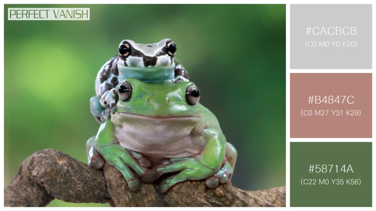 カエルの無料配色パターン 3 フリー amazon milk frog