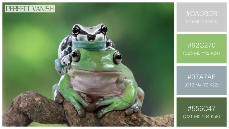 カエルの無料配色パターン 4 フリー amazon milk frog