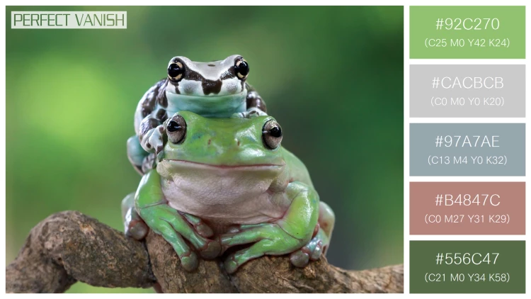 カエルの無料配色パターン 5 フリー amazon milk frog