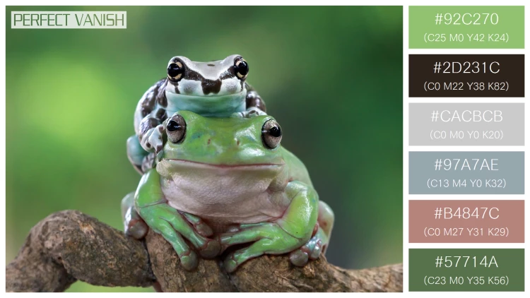 カエルの無料配色パターン 6 フリー amazon milk frog