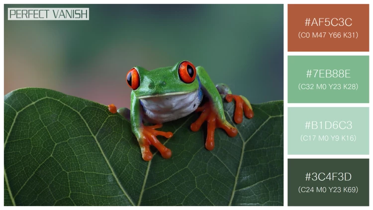 カエルの無料配色パターン 4 フリー redeyed tree frog