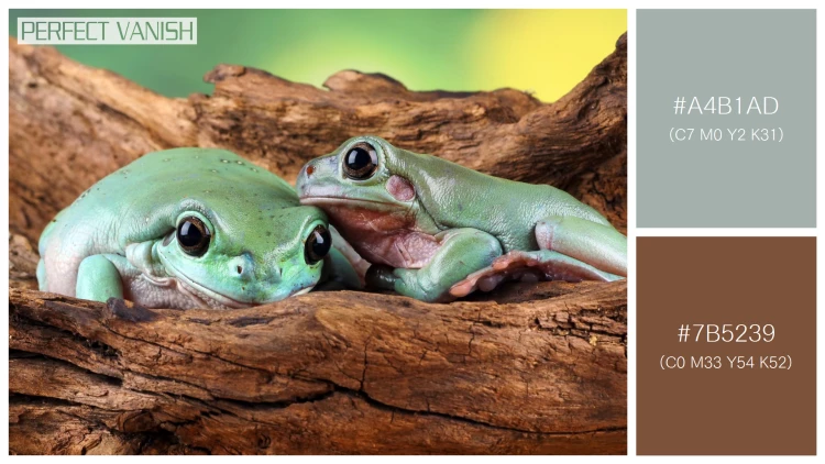 カエルの無料配色パターン 2 フリー litoria caerulea tree