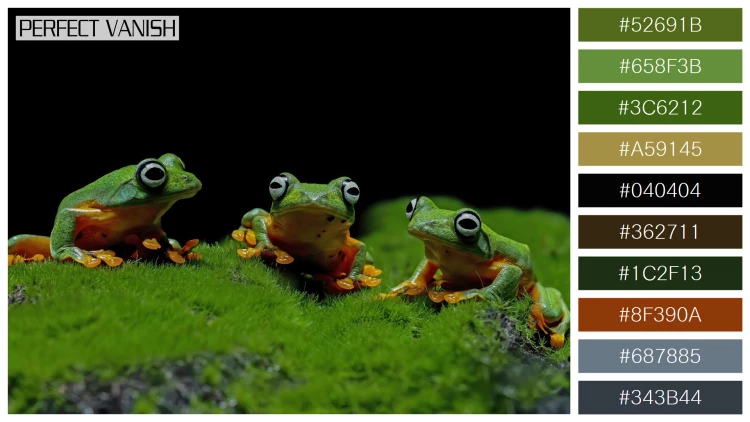 カエルの無料配色パターン 10 フリー javan tree frog