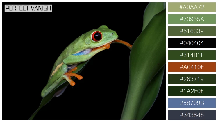 カエルの無料配色パターン 10 フリー redeyed tree frog