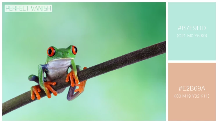 カエルの無料配色パターン 2 フリー redeyed tree frog