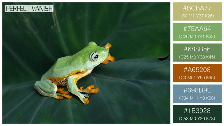 カエルの無料配色パターン 6 フリー flying frog closeup