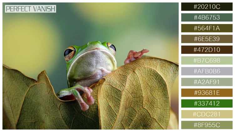 カエルの無料配色パターン 12 フリー whitelipped tree frog