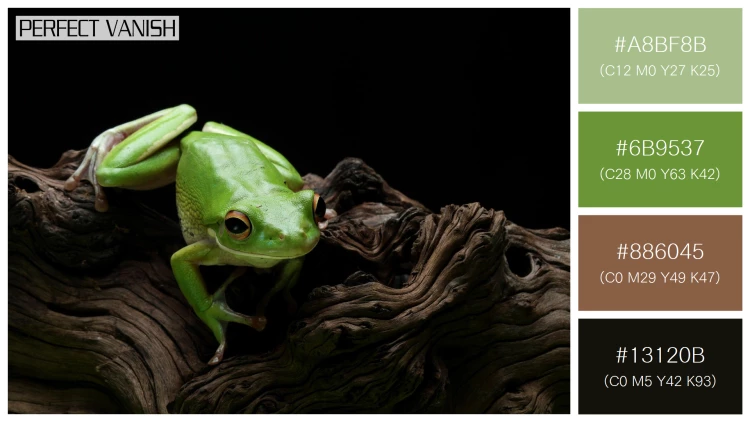 カエルの無料配色パターン 4 フリー whitelipped tree frog