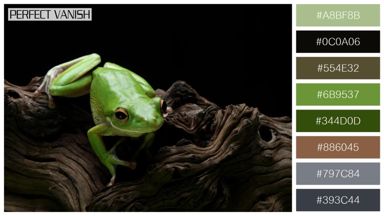カエルの無料配色パターン 8 フリー whitelipped tree frog
