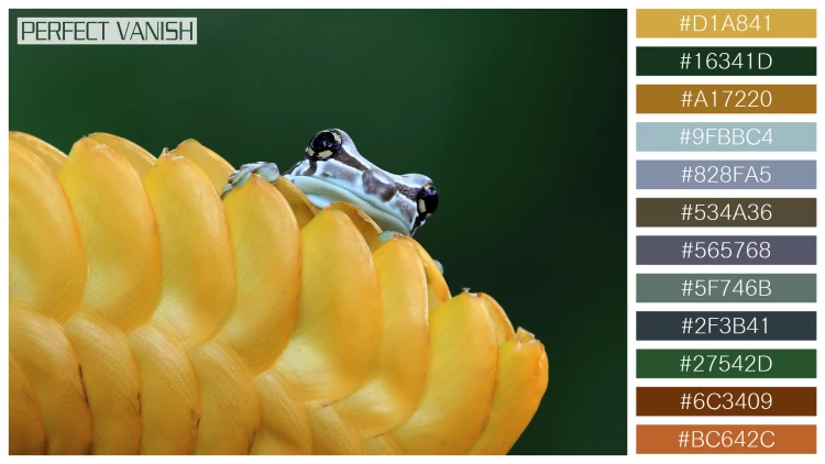 カエルの無料配色パターン 12 フリー amazon milk frog