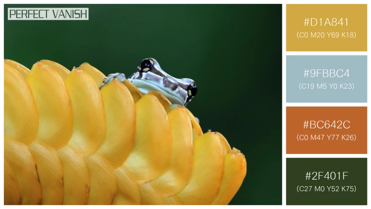 カエルの無料配色パターン 4 フリー amazon milk frog