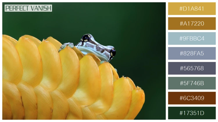 カエルの無料配色パターン 8 フリー amazon milk frog