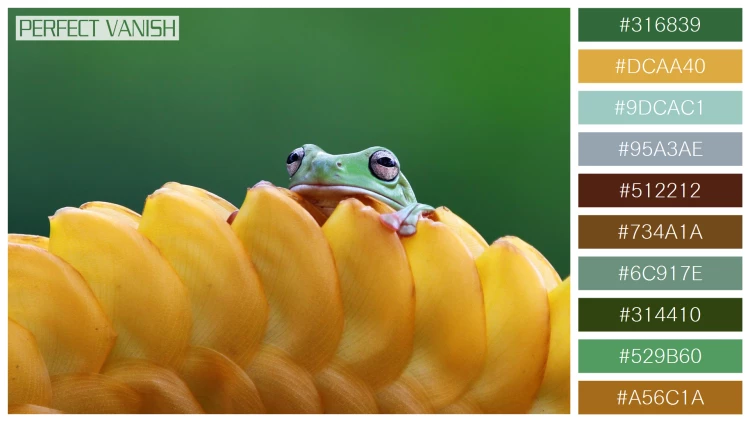 カエルの無料配色パターン 10 フリー dumpy frog litoria