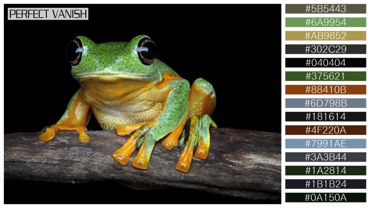 カエルの無料配色パターン 15 フリー avan tree frog
