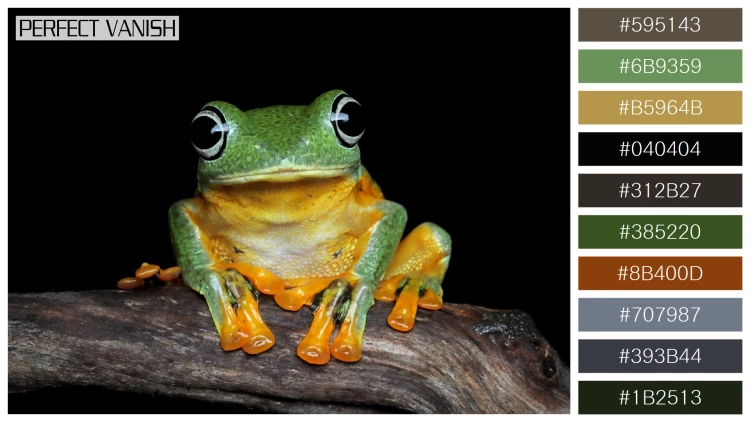 カエルの無料配色パターン 10 フリー avan tree frog