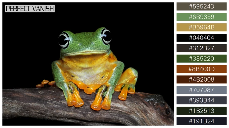 カエルの無料配色パターン 12 フリー avan tree frog