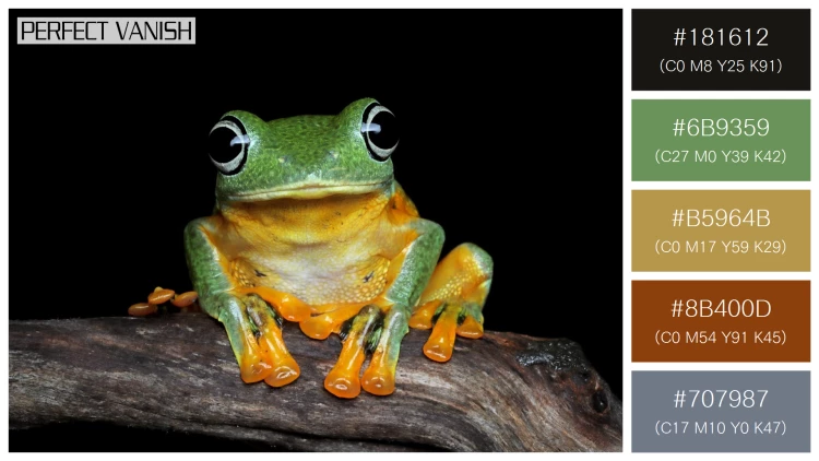 カエルの無料配色パターン 5 フリー avan tree frog