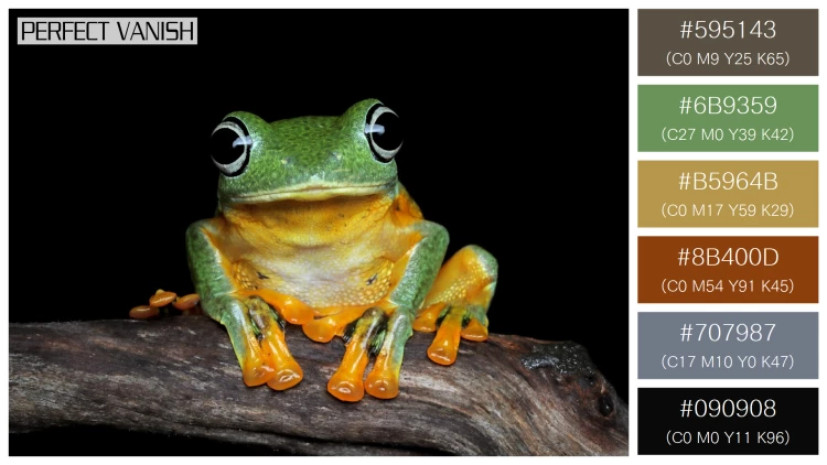 カエルの無料配色パターン 6 フリー avan tree frog