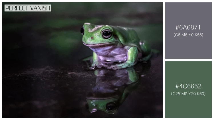 カエルの無料配色パターン 2 フリー dumpy frog litoria