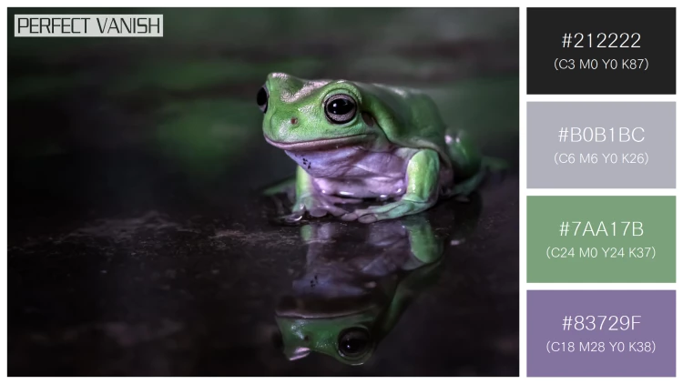 カエルの無料配色パターン 4 フリー dumpy frog litoria