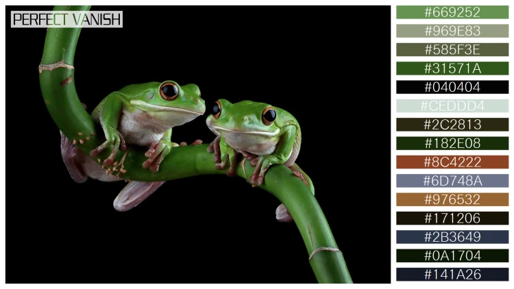 カエルの無料配色パターン 15 フリー whitelipped tree frog