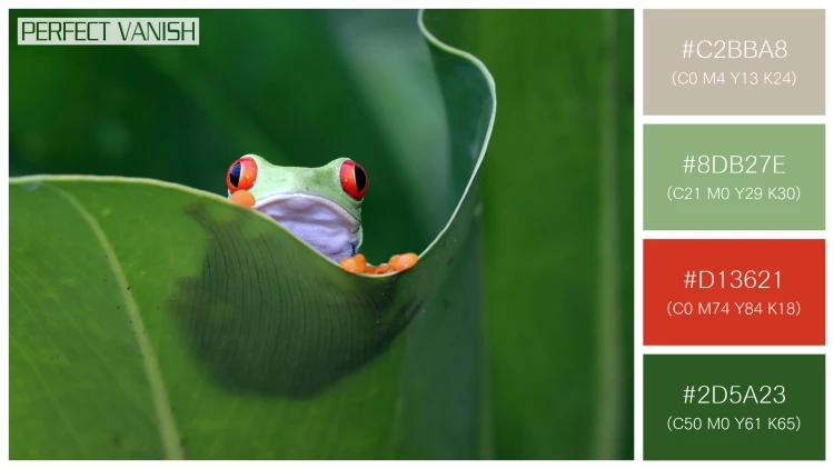 カエルの無料配色パターン 4 フリー redeyed tree frog