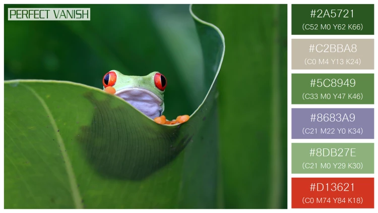 カエルの無料配色パターン 6 フリー redeyed tree frog