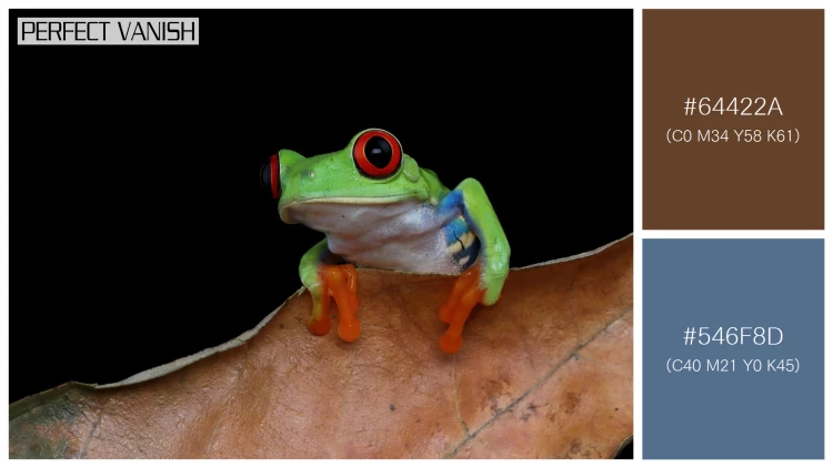 カエルの無料配色パターン 2 フリー redeyed tree frog