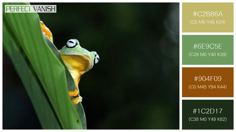 カエルの無料配色パターン 4 フリー flying frog closeup