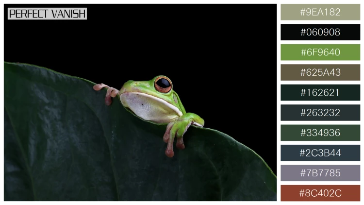カエルの無料配色パターン 10 フリー whitelipped tree frog