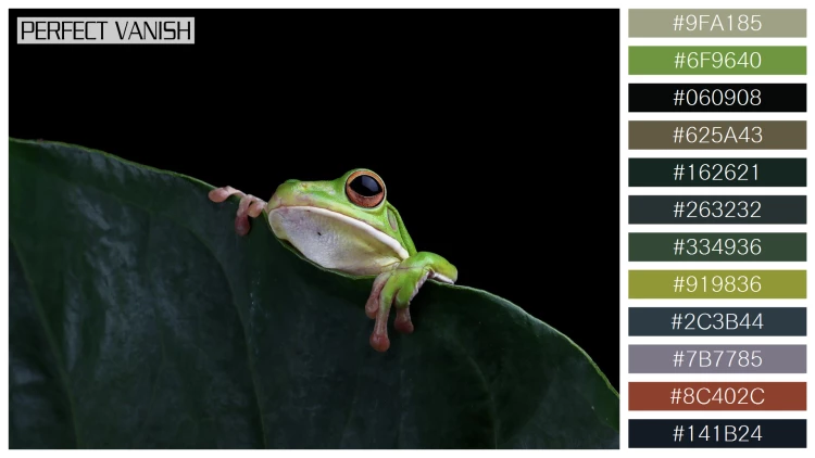 カエルの無料配色パターン 12 フリー whitelipped tree frog