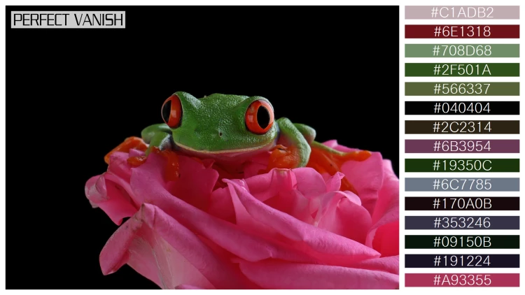 カエルの無料配色パターン 15 フリー redeyed tree frog
