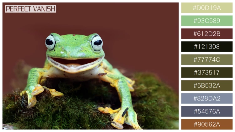 カエルの無料配色パターン 10 フリー javan tree frog