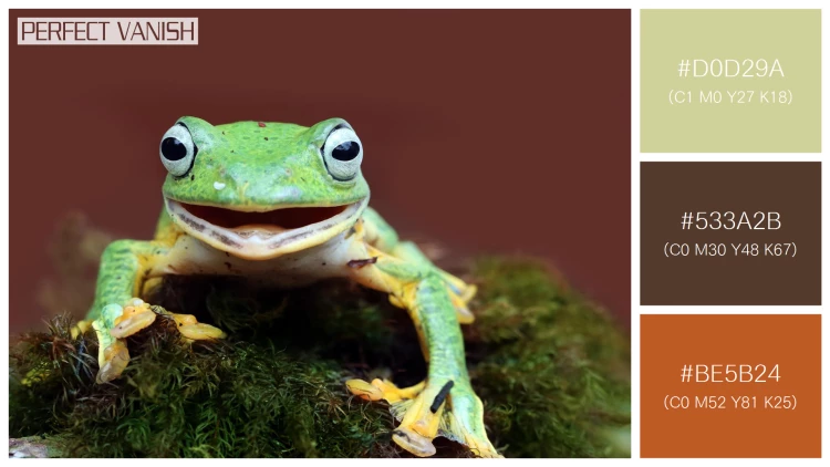 カエルの無料配色パターン 3 フリー javan tree frog