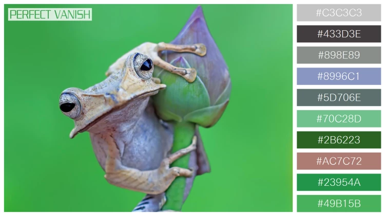 カエルの無料配色パターン 10 フリー borneo eared frog