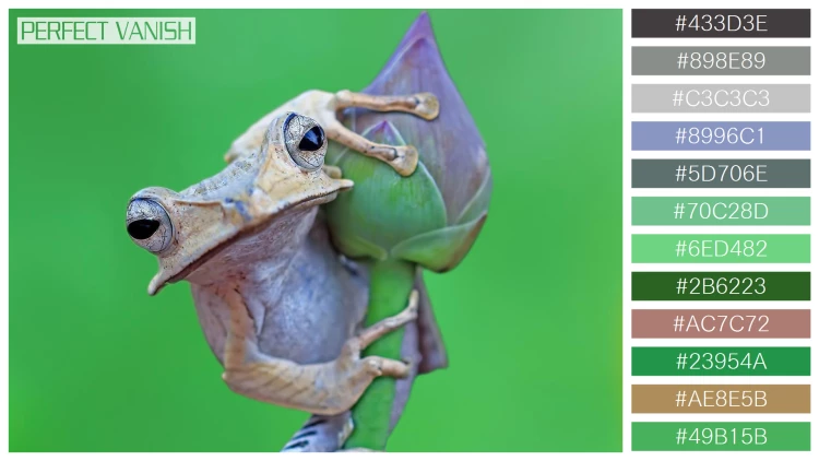 カエルの無料配色パターン 12 フリー borneo eared frog
