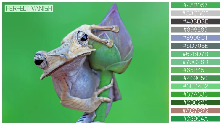 カエルの無料配色パターン 15 フリー borneo eared frog