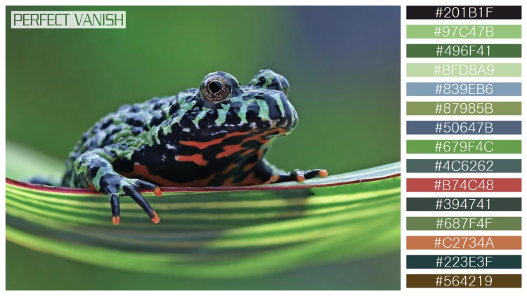 カエルの無料配色パターン 15 フリー fire belly toad