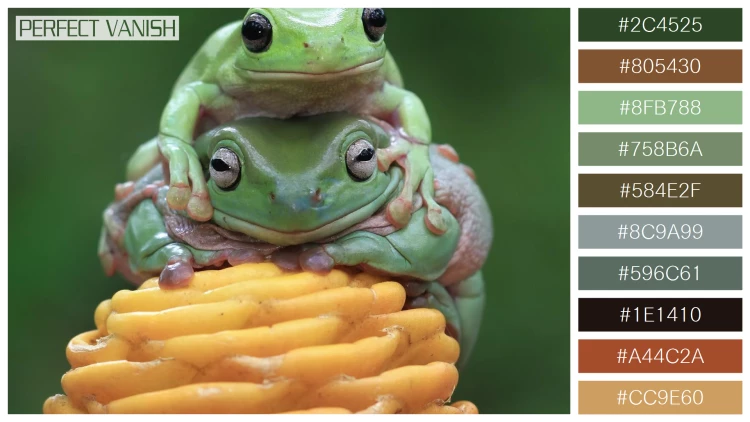 カエルの無料配色パターン 10 フリー dumpy frog litoria